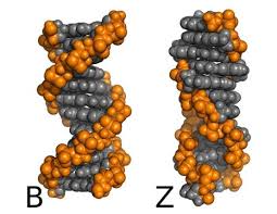 dna testing disease preventing through nyc test