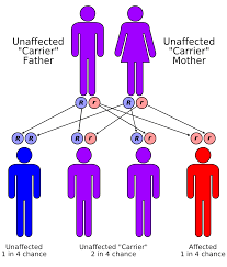 dna-test-for-sibling-relatioinships-new-york-top-lab-02