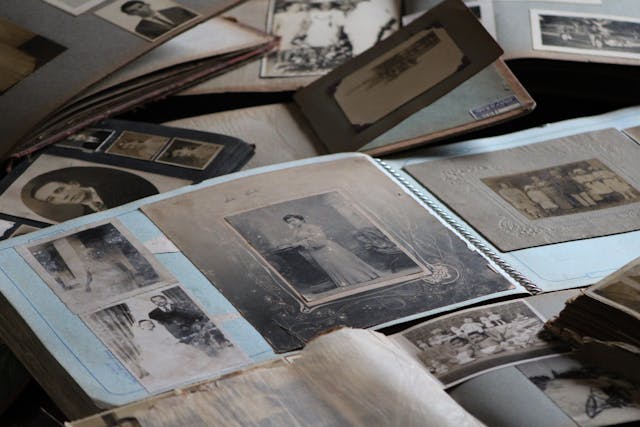 Family Tree and Genealogy Testing Uncover Your Heritage